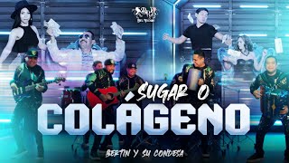 Sugar o Colágeno · Bertín y Su Condesa [upl. by Fuhrman581]