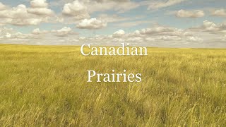 Canadian Prairies  Saskatchewan  Drone 4k [upl. by Eilrahc846]