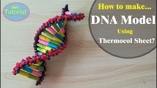 How to Make a DNA model using Thermocol [upl. by Stubstad40]