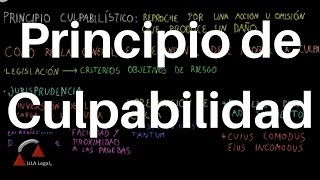 Principio de Culpabilidad DERECHO CIVIL [upl. by Hardunn]