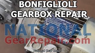 BonFiglioli Gearbox Repair [upl. by Danna]