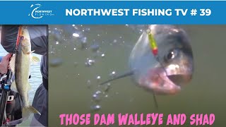 McNary Dam Walleye amp Shad Fishing  Northwest Fishing TV 39 [upl. by Jobey803]