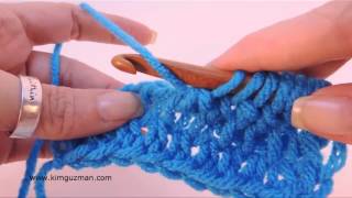 Tunisian Crochet Double Stitch or Double Crochet [upl. by Kelsi393]