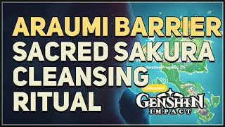 Araumi Barrier Sacred Sakura Cleansing Ritual Puzzle Genshin Impact [upl. by Nosde]