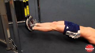 How To TRX Hamstring Curl [upl. by Aguayo]