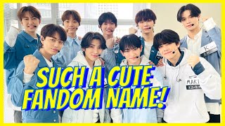 HYBE Boy Group ampTEAM Official Fandom Name [upl. by Amadis]