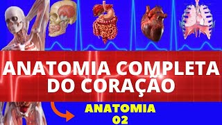 ANATOMIA DO CORAÇÃO LOCALIZAÇÃO CAMADAS VALVAS CORONÁRIAS E INERVAÇÃO  SISTEMA CARDIOVASCULAR [upl. by Anura]