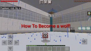 How To Morph into A wolf in minecraft No modsNo addons Only commads Phone PC And Xbox [upl. by Yentruok105]