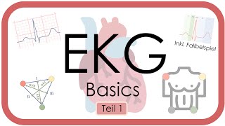 EKG Basics  Step by Step  Grundlagen Einthoven Frequenz Lagetyp PWelle QRS EKGKurs [upl. by Cired877]