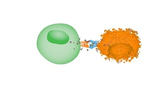 Oncolytic Virus Therapy Dynamite for Cancer Cells [upl. by Chivers]